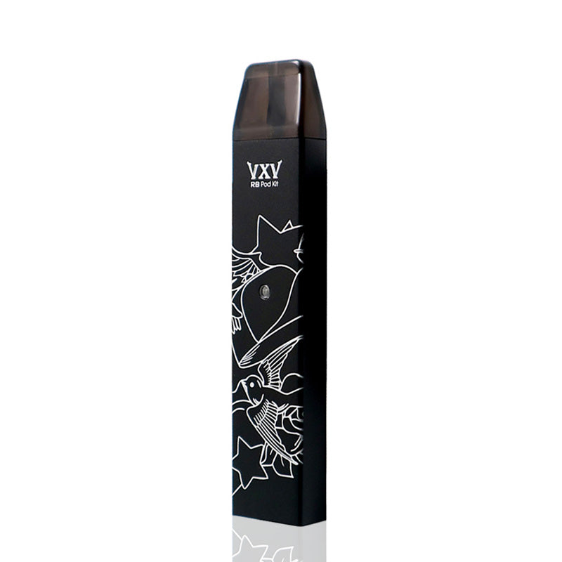 VXV RB Pod Kit 380mAh with Charging Dock - ALIVAPE VXV RB Pod Kit 380mAh with Charging Dock - ALIVAPE
